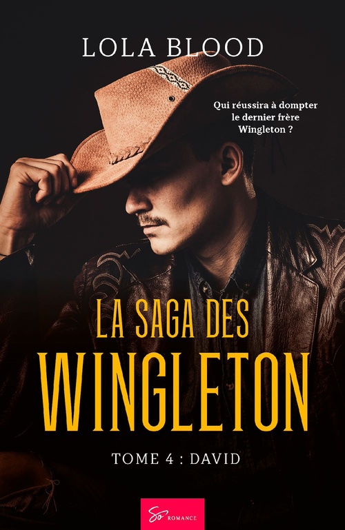 ebook cover of La Saga des Wingleton - David, by Lola Blood