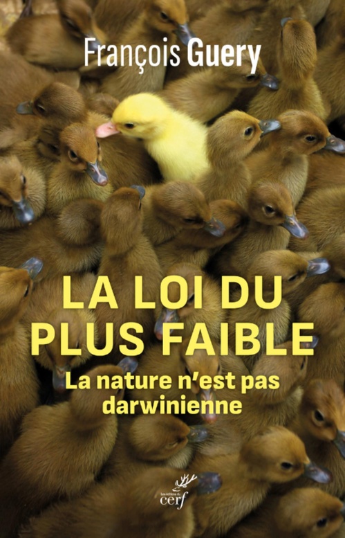 Couverture ebook de LA LOI DU PLUS FAIBLE - LA NATURE N'EST PAS DARWINIENNE, de François Guery