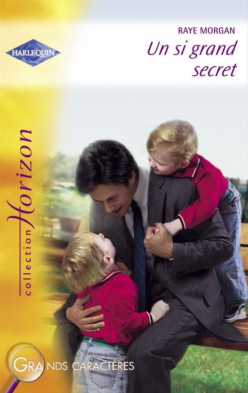 ebook cover of Un si grand secret (Harlequin Horizon), by Collectif