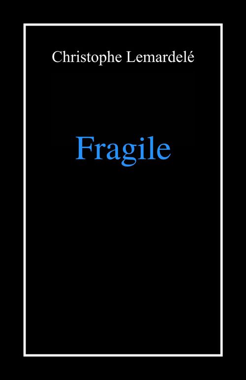 Couverture ebook de Fragile, de Christophe Lemardelé