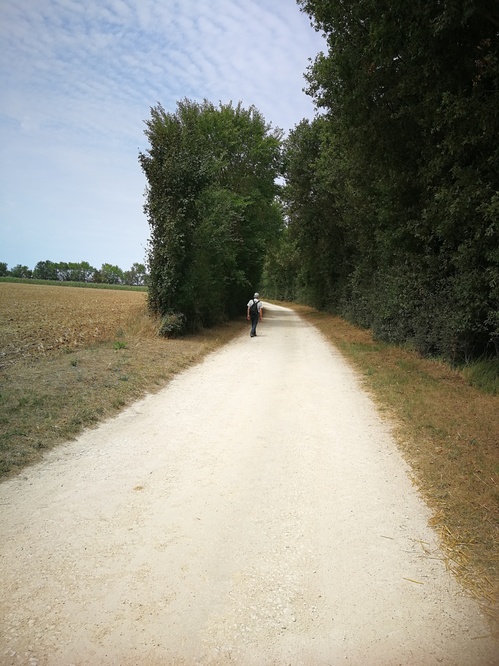 ebook cover of Sur le chemin avec Violette, by Régis Pasquet