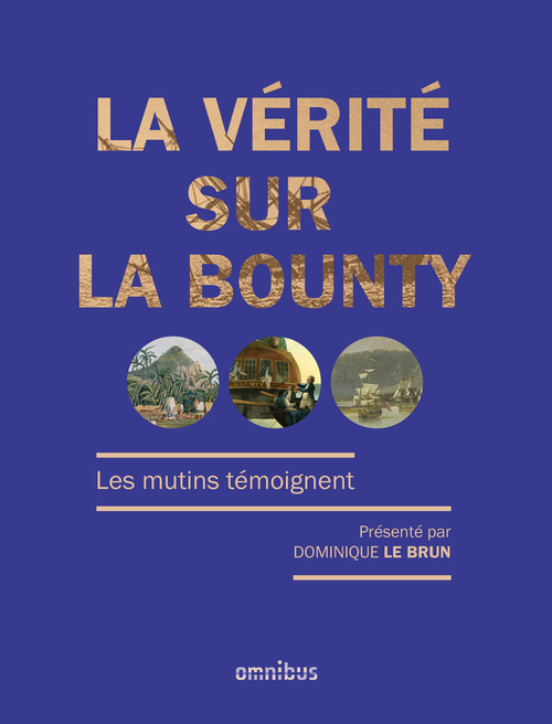 ebook cover of La vérité sur la Bounty, by Dominique Le Brun