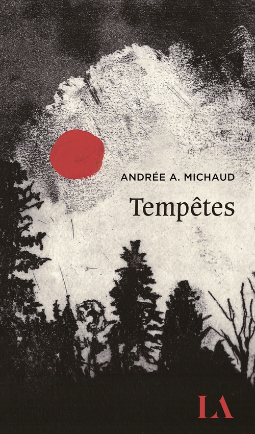ebook cover of Tempêtes, by Andrée A. Michaud