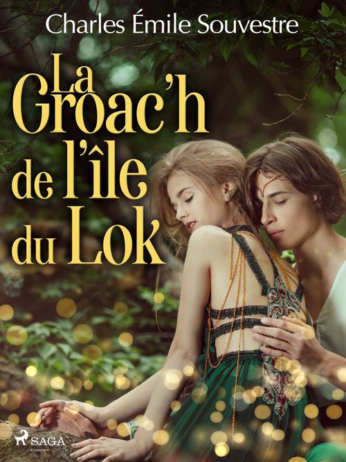 ebook cover of La Groac´h de l´île du Lok, by Emile Souvestre