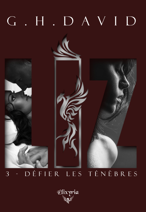 ebook cover of Liz, by G.H.David