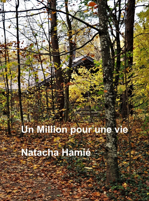 ebook cover of Un million pour une vie, by Natacha Hamié