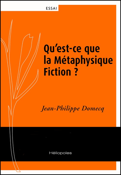 ebook cover of Qu´est-ce que la Métaphysique Fiction ?, by Jean-Philippe Domecq