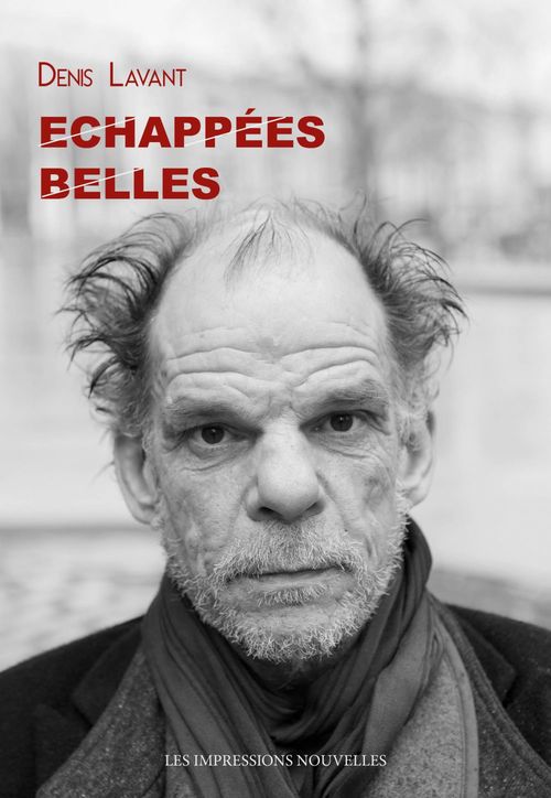 Couverture ebook de Echappées belles, de Denis Lavant