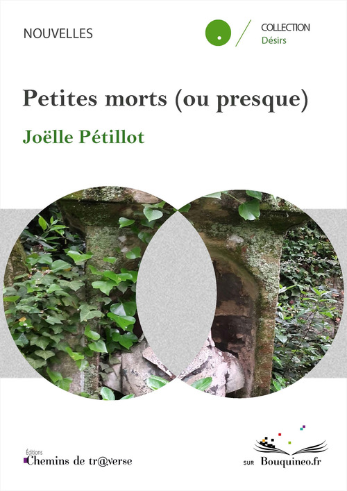 Couverture ebook de Petites morts (ou presque), de Joëlle Pétillot