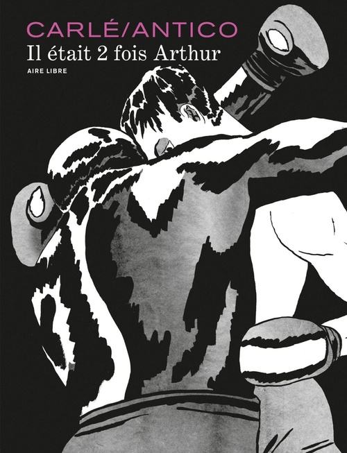 ebook cover of Il était 2 fois Arthur, by Grégoire Carlé, Nine Antico