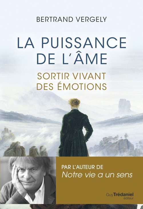 ebook cover of La puissance de l'âme - Sortir vivant de l'émotion, by Bertrand Vergely