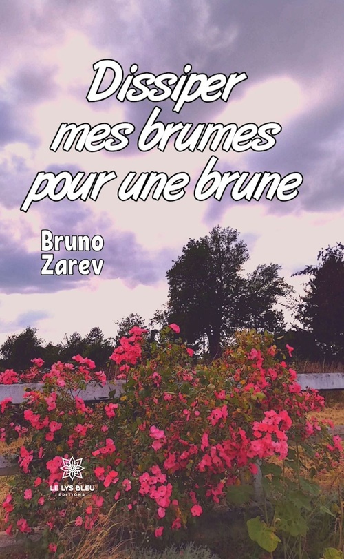 ebook cover of Dissiper mes brumes pour une brune, by Bruno Zarev