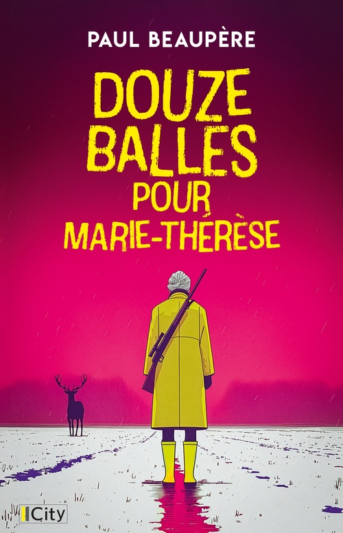 ebook cover of Douze balles pour Marie-Thérèse, by Paul Beaupère