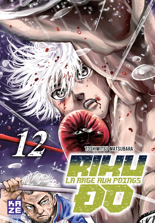Couverture ebook de Riku-do T12, de Toshimitsu Matsubara