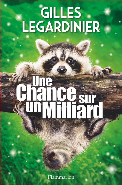ebook cover of Une chance sur un milliard, by Gilles Legardinier