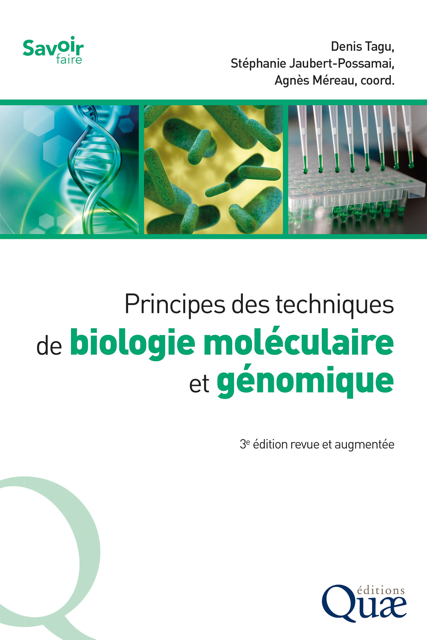 Couverture ebook de Principes des techniques de biologie moléculaire et génomique, de Stéphanie Jaubert, Agnes Mereau, Denis Tagu