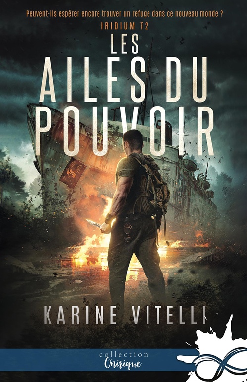 ebook cover of Les Ailes du pouvoir, by Karine Vitelli