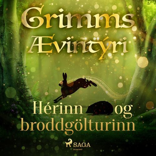 audiobook cover of Hérinn og broddgölturinn, by GrimmsbræðUr