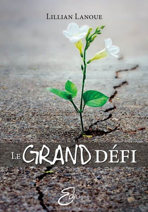 ebook cover of Le Grand Défi, by Lillian Lanoue