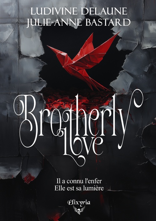 Couverture ebook de Brotherly love, de Julie-Anne Bastard, Ludivine Delaune