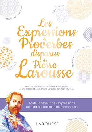 Couverture ebook de Les expressions disparues de Pierre Larousse, de Collectif