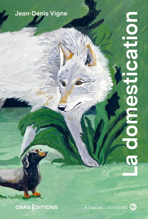 ebook cover of La domestication à l'oeil nu, by Mélodie Baschet, Jean-Denis Vigne