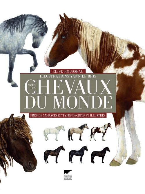 Couverture ebook de Tous les chevaux du monde. Près de 570 races et types décrits et illustrés, de Yann Le Bris, Elise Rousseau