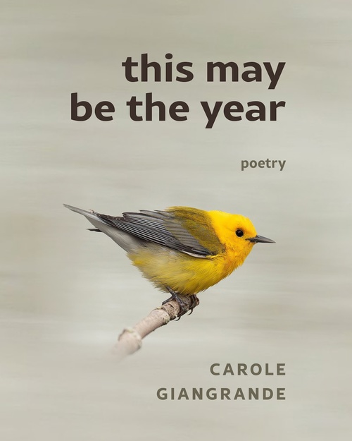 Couverture ebook de This May Be The Year, de Carole Giangrande