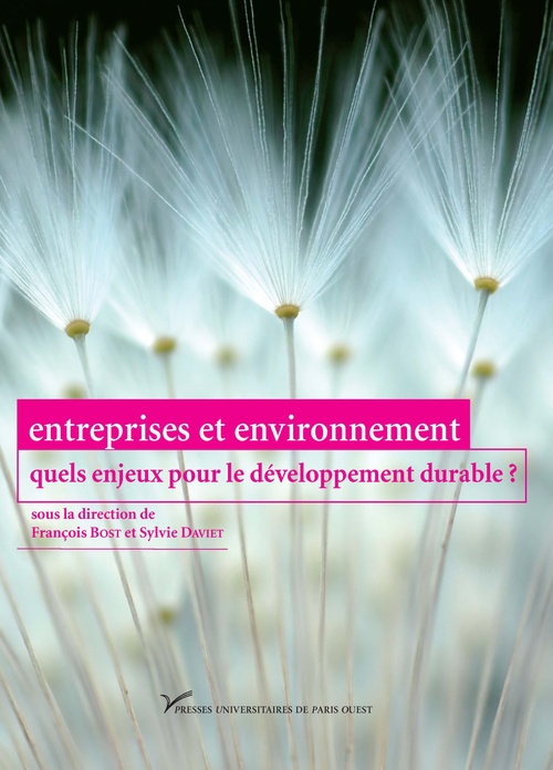 Couverture ebook de Entreprises et environnement : quels enjeux pour le développement durable ?, de