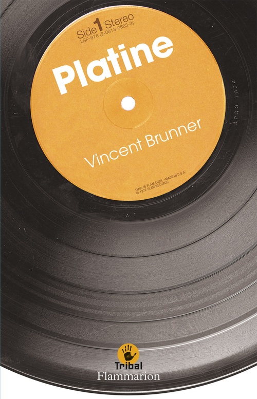 Couverture ebook de Platine, de Vincent Brunner
