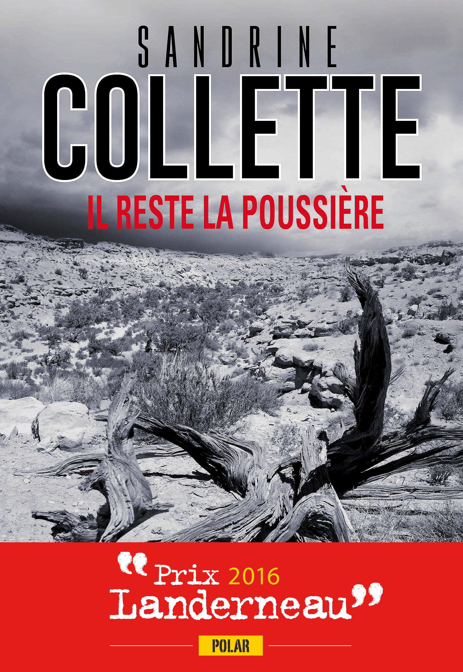 Couverture ebook de Il reste la poussière : Prix Landerneau Polar 2016, de Sandrine Collette