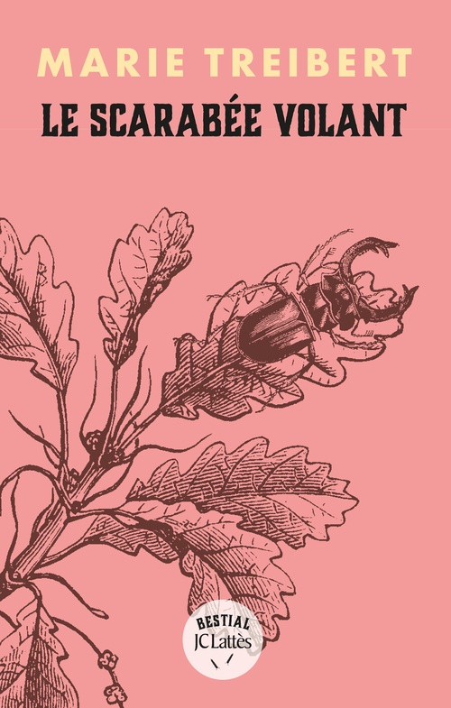 Couverture ebook de Le scarabée volant, de Marie Treibert