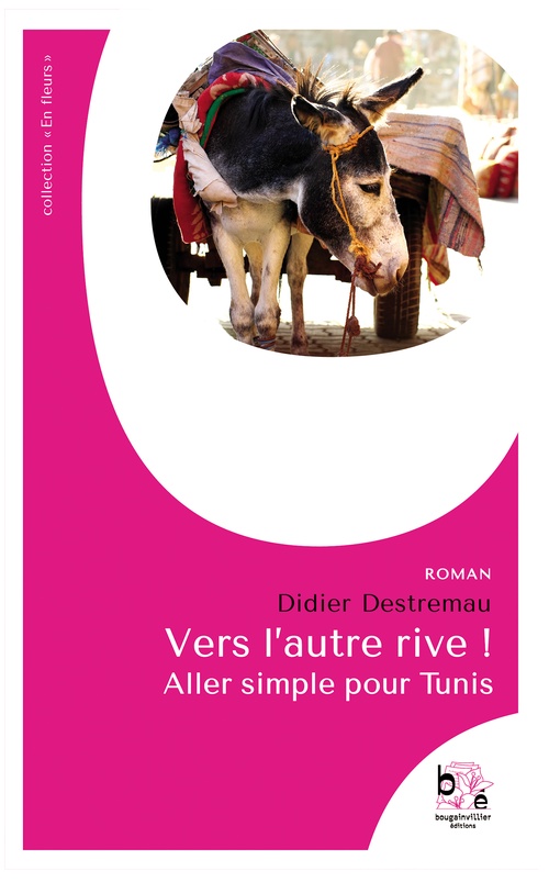 Couverture ebook de Vers l'autre rive, de Didier Destremau