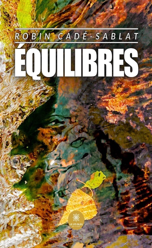 Couverture ebook de Équilibres, de Robin Cadé-Sablat