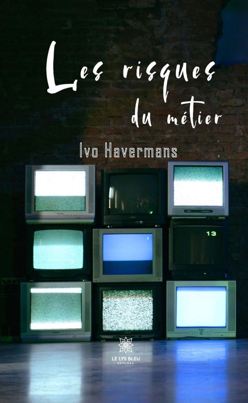 ebook cover of Les risques du métier, by Ivo Havermans