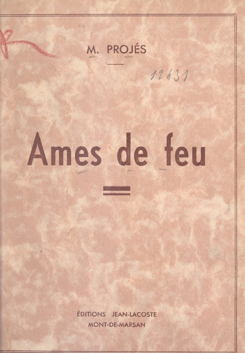 Couverture ebook de Âmes de feu, de M. Projes