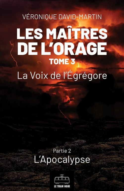 ebook cover of Les Maîtres de l'orage - Tome 3 : Partie 2, by Véronique David-martin