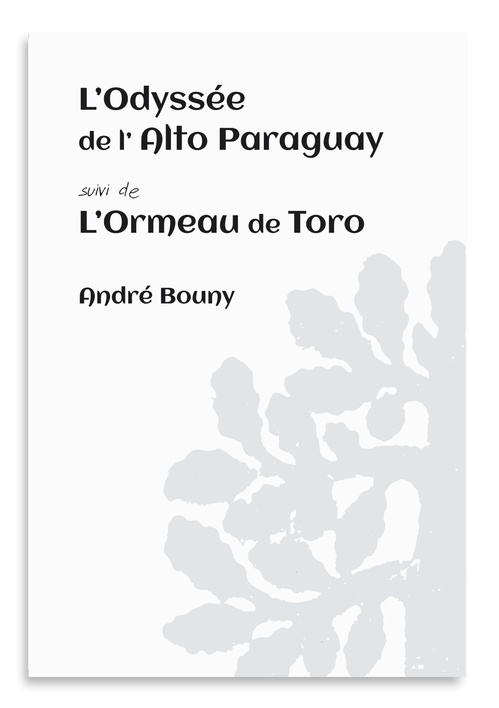 Couverture ebook de L'Odyssée de l'Alto Paraguay, suivi de : L'Ormeau de Toro, de André Bouny