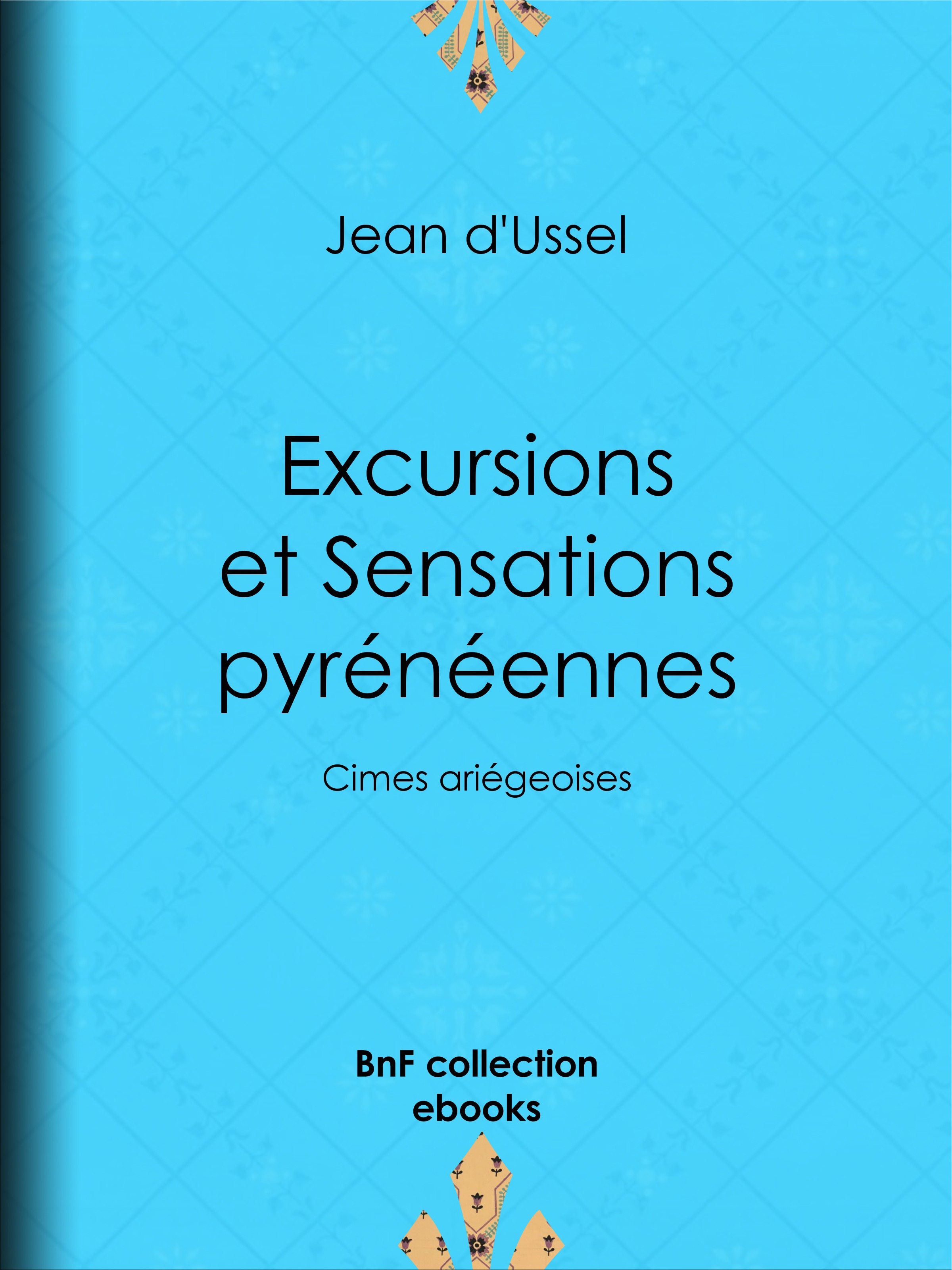 ebook cover of Excursions et Sensations pyrénéennes, by Jean d' Ussel