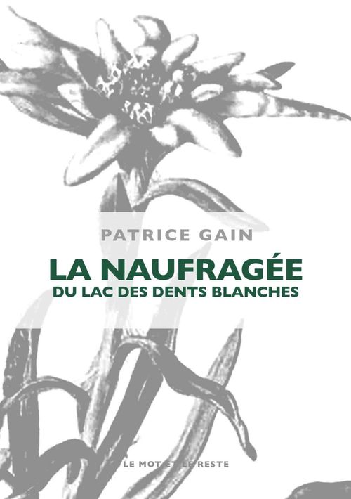 ebook cover of La naufragée du lac des dents blanches, by Patrice Gain