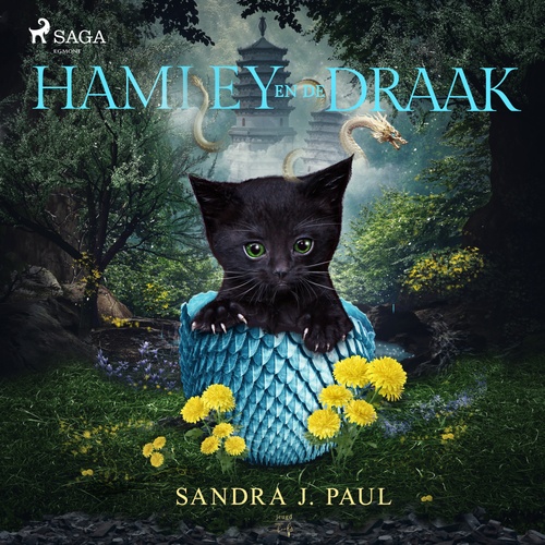 audiobook cover of Hamley en de draak, by Sandra J. Paul