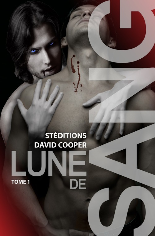 Couverture ebook de Lune de sang - Tome 1 | Roman gay, livre gay, de David Cooper