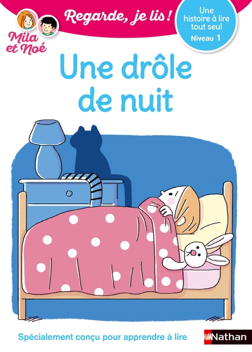 Couverture ebook de Une drôle de nuit - niveau 1 - Regarde je lis, de Eric Battut, Marion Piffaretti