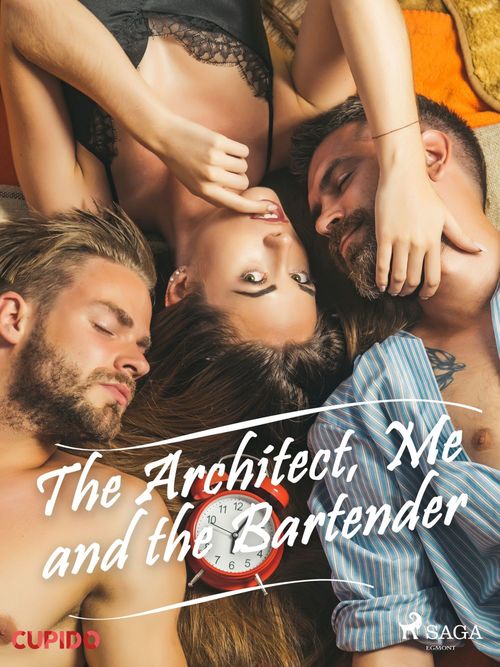 ebook cover of The Architect, Me and the Bartender, by -  Cupido