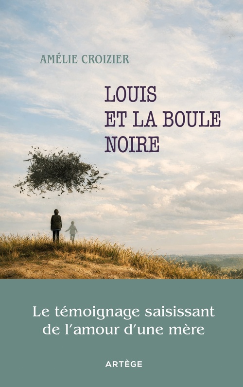 Couverture ebook de Louis et la boule noire, de Madame Amélie Croizier
