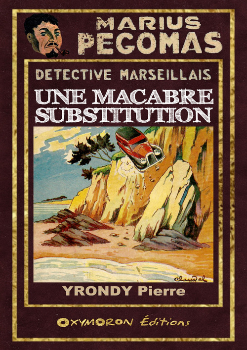 ebook cover of Une macabre substitution, by Pierre Yrondy