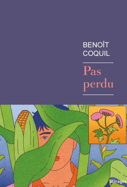 ebook cover of Pas perdu, by Benoît Coquil