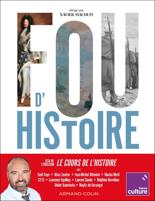 ebook cover of Fou d'Histoire, by Xavier Mauduit