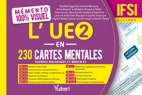 ebook cover of Mémento 100% visuel - L'UE 2 en 230 cartes mentales - IFSI, by Danièle Augendre, Anne Barrau, Anne Besnier, Ghislaine Drouet, Cédric Favro, Loïc Jain, Karine Quebre, Sandrine Lescure,