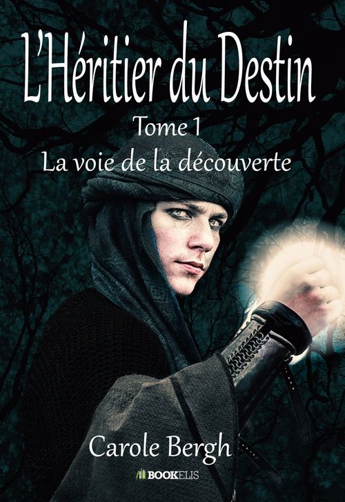 ebook cover of L'héritier du destin, by Carole Bergh